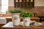 Load image into Gallery viewer, Cambridge Toms Ivory - Set of 2
