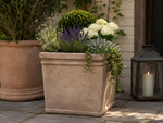 Load image into Gallery viewer, Medium Broxted Square Frostproof Terracotta Planter - Set of 2
