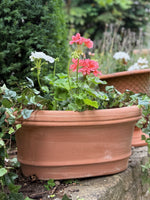 Load image into Gallery viewer, Imprunetino Style Terracotta Oval Planter - Set of 2
