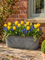 Load image into Gallery viewer, Tall Oblong Zinc Planter
