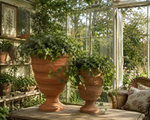 Load image into Gallery viewer, Botanical Elegance Terracotta Footed Urn - Set of 2
