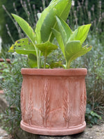 Load image into Gallery viewer, Cipressi Cylinder Planter
