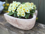 Load image into Gallery viewer, Amour Planter
