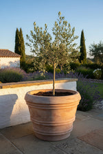 Load image into Gallery viewer, Lindos Planter
