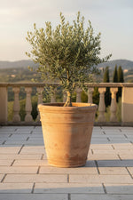 Load image into Gallery viewer, Volos Planter - Large 60cm Diam x 60cm H
