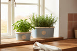 Load image into Gallery viewer, Kew Oval Planter
