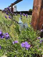 Load image into Gallery viewer, Country Garden Metal Hen Stakes: Artisanal Collection - Set of 3
