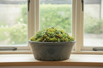 Load image into Gallery viewer, Kew Rustic Terracotta Antique Grey Twin Bowl Set
