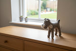 Load image into Gallery viewer, Dog Schnauzer
