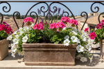 Load image into Gallery viewer, Small Walden Rectangular Frostproof Terracotta Planter
