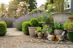 Load image into Gallery viewer, Terracotta Glazed Ceramic Robin
