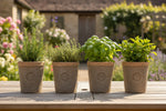 Load image into Gallery viewer, Set of 4 Kew Terracotta Cylinder Pots - Antique Red
