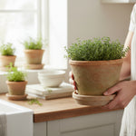 Load image into Gallery viewer, Kew Terracotta Pot Antique Red with Saucer
