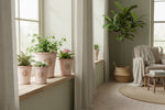 Load image into Gallery viewer, Whisper Pink Kew Long Tom

