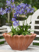 Load image into Gallery viewer, Smerlato Fluted Bowl
