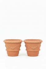 Load image into Gallery viewer, Tuscan Terracotta Planter - Set of 2
