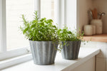 Load image into Gallery viewer, Zinc Fluted Round Planters - Set of 2
