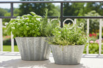 Load image into Gallery viewer, Zinc Fluted Oval Planters - Set of 2
