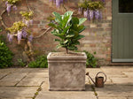 Load image into Gallery viewer, Large Broxted Square Frostproof Terracotta Planter - Set of 2
