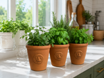 Load image into Gallery viewer, Kew Mini Terracotta Pots - Set of 3
