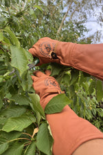 Load image into Gallery viewer, Extra Large Leather Royal Botanic Gardens, Kew Gauntlet Gloves
