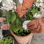 Load image into Gallery viewer, Extra Large Leather Royal Botanic Gardens, Kew Gauntlet Gloves
