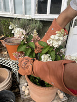 Load image into Gallery viewer, Extra Large Leather Royal Botanic Gardens, Kew Gauntlet Gloves
