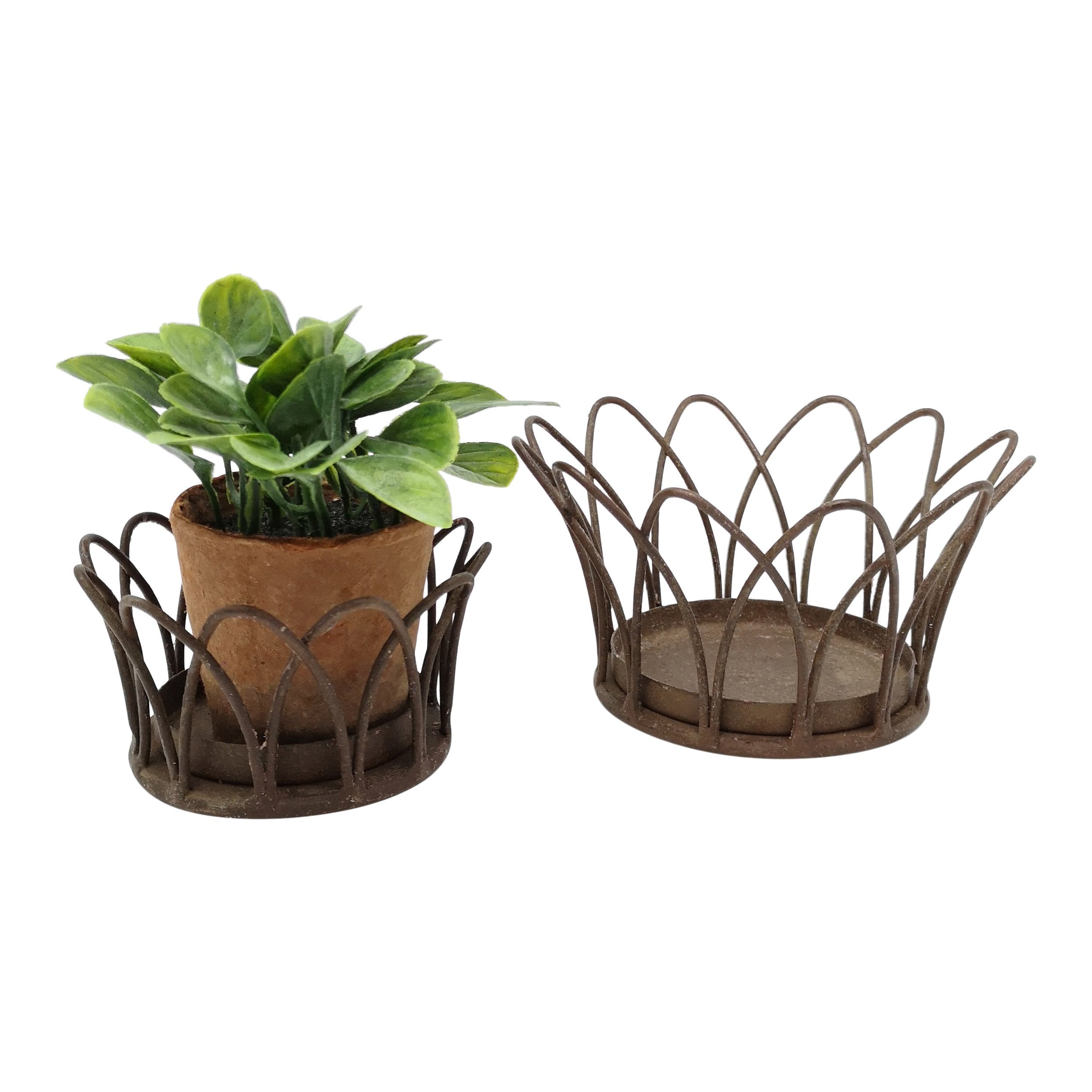 Wire Crown Basket Large (pack of 2)