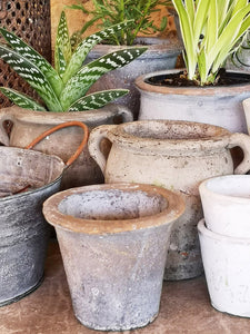 Vintage Style Cactus Pot - pack of 4