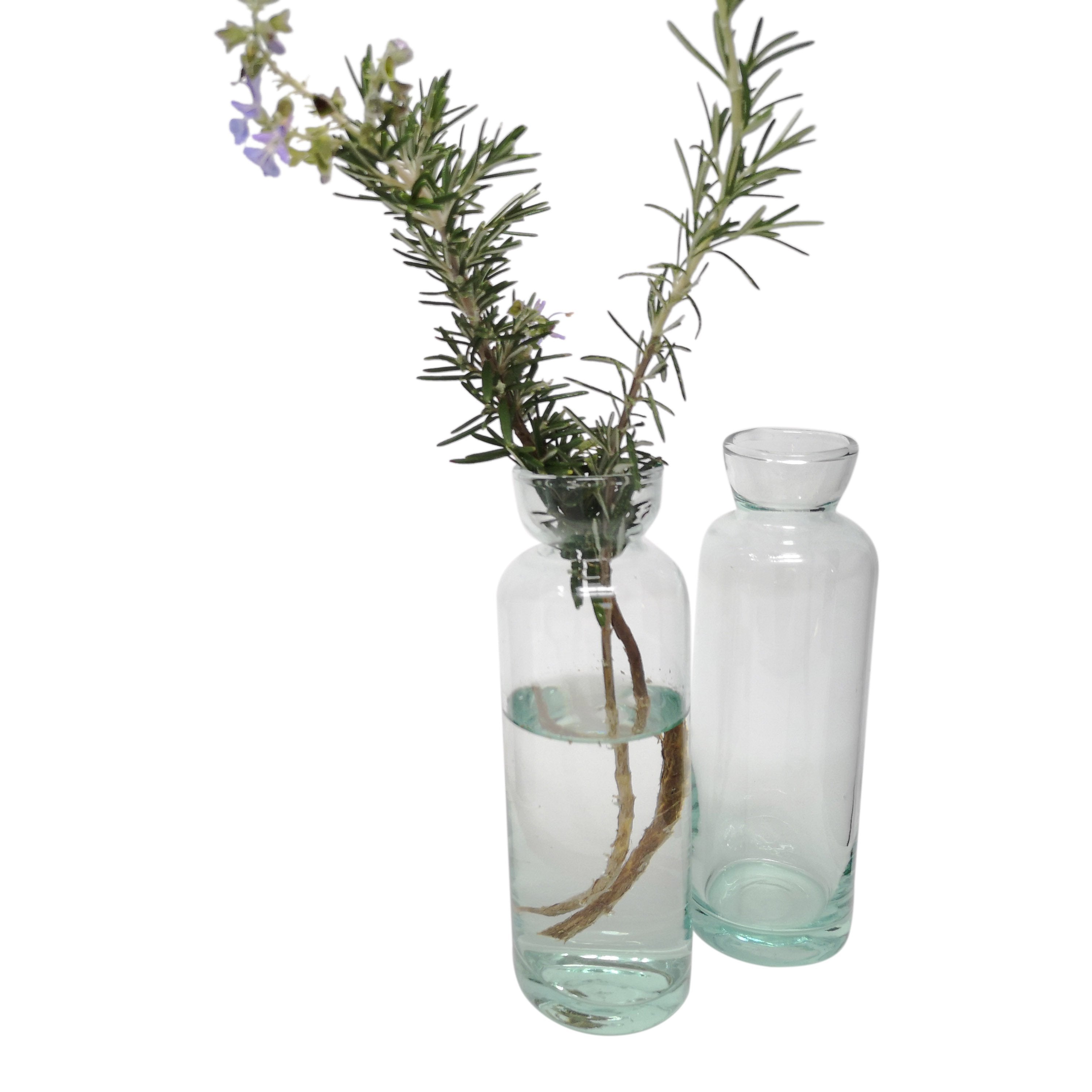 Flora Vase - Set of 2