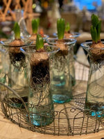 Load image into Gallery viewer, Rosa Vase - Set of 2
