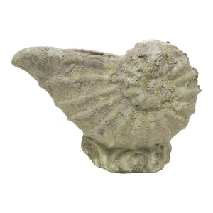 Shell de Mer Planter