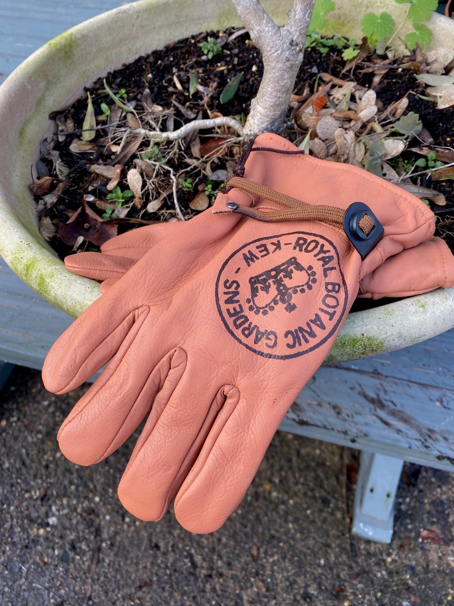 Mens Leather Royal Botanic Gardens, Kew Gardening Gloves