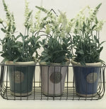 Load image into Gallery viewer, Wall Basket Large
