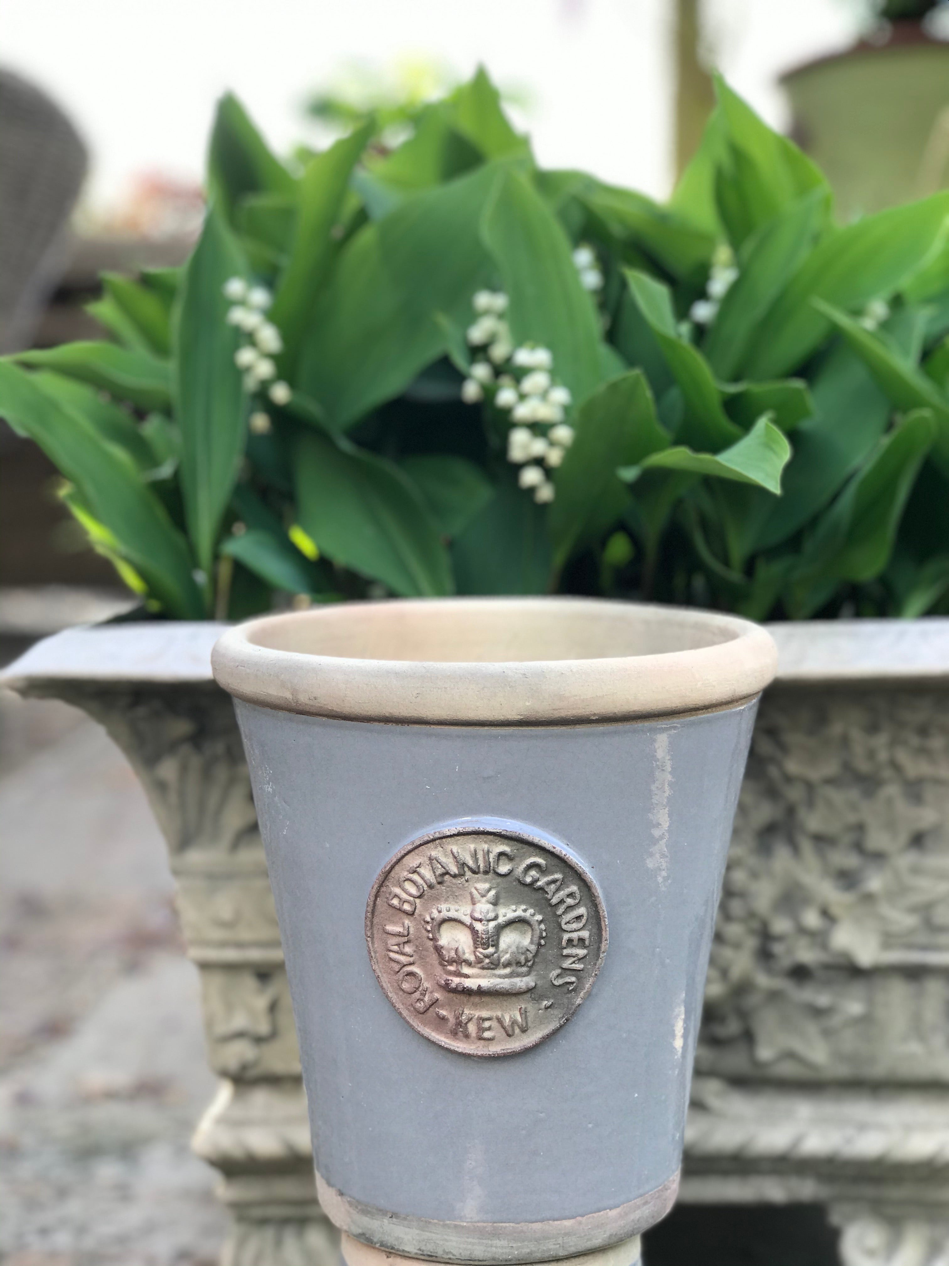 Medium Dove Grey Kew Long Tom TERRACE GARDEN medium-dove-grey-kew-long-tom-terrace-garden