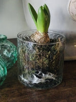 Load image into Gallery viewer, Fleur Hurricane Small
