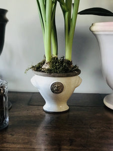 Mini Goblet Kew Vase Ivory
