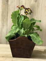 Load image into Gallery viewer, Small Scalloped Design Laquered Wooden Cachepot
