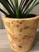 Load image into Gallery viewer, Large Round Design Lacquered Pale Wooden Cachepot
