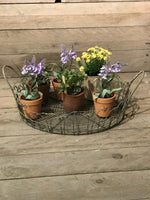 Load image into Gallery viewer, Round Wire Tray Large
