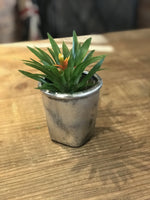 Load image into Gallery viewer, succulent pot
