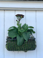 Load image into Gallery viewer, Wall Basket Small
