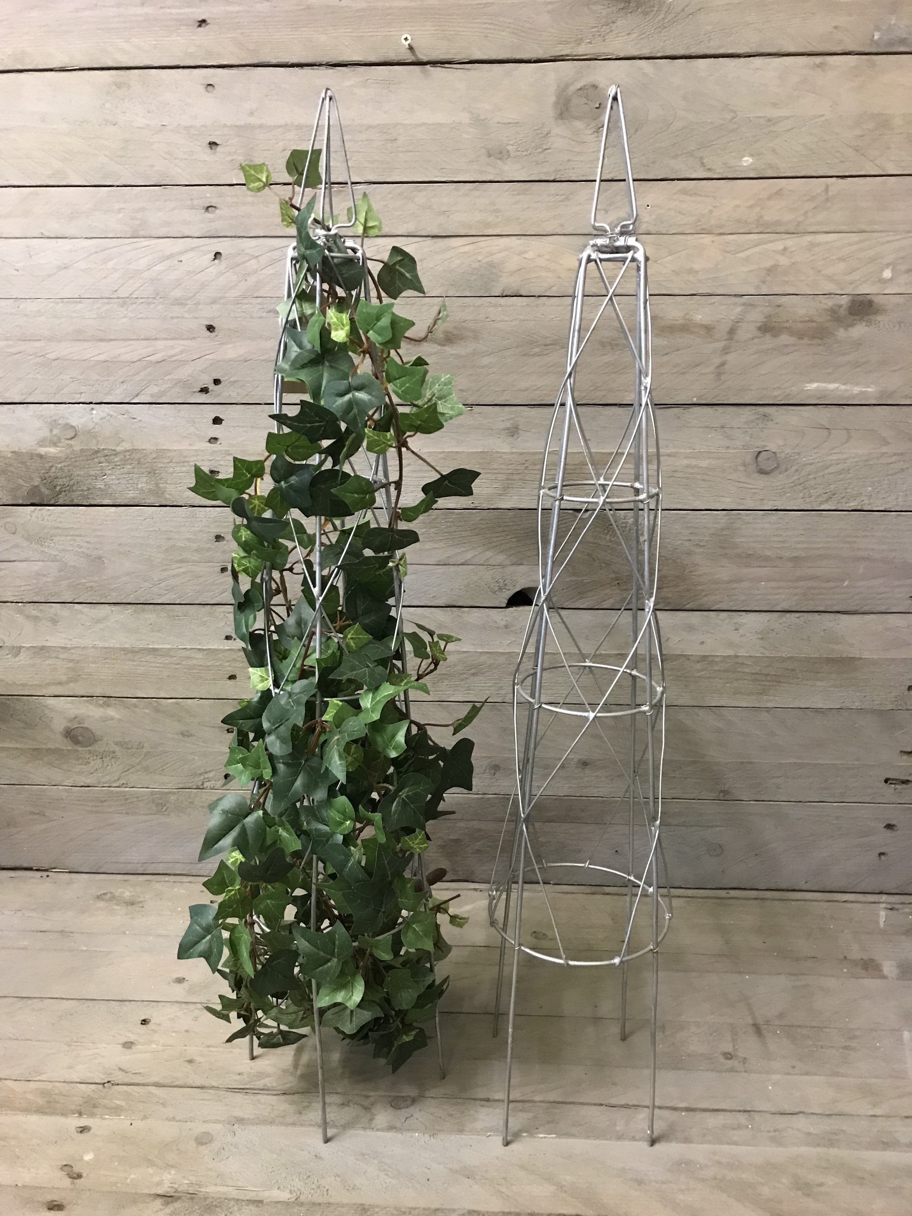 Wire Topiary Frame