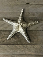 Load image into Gallery viewer, Starfish
