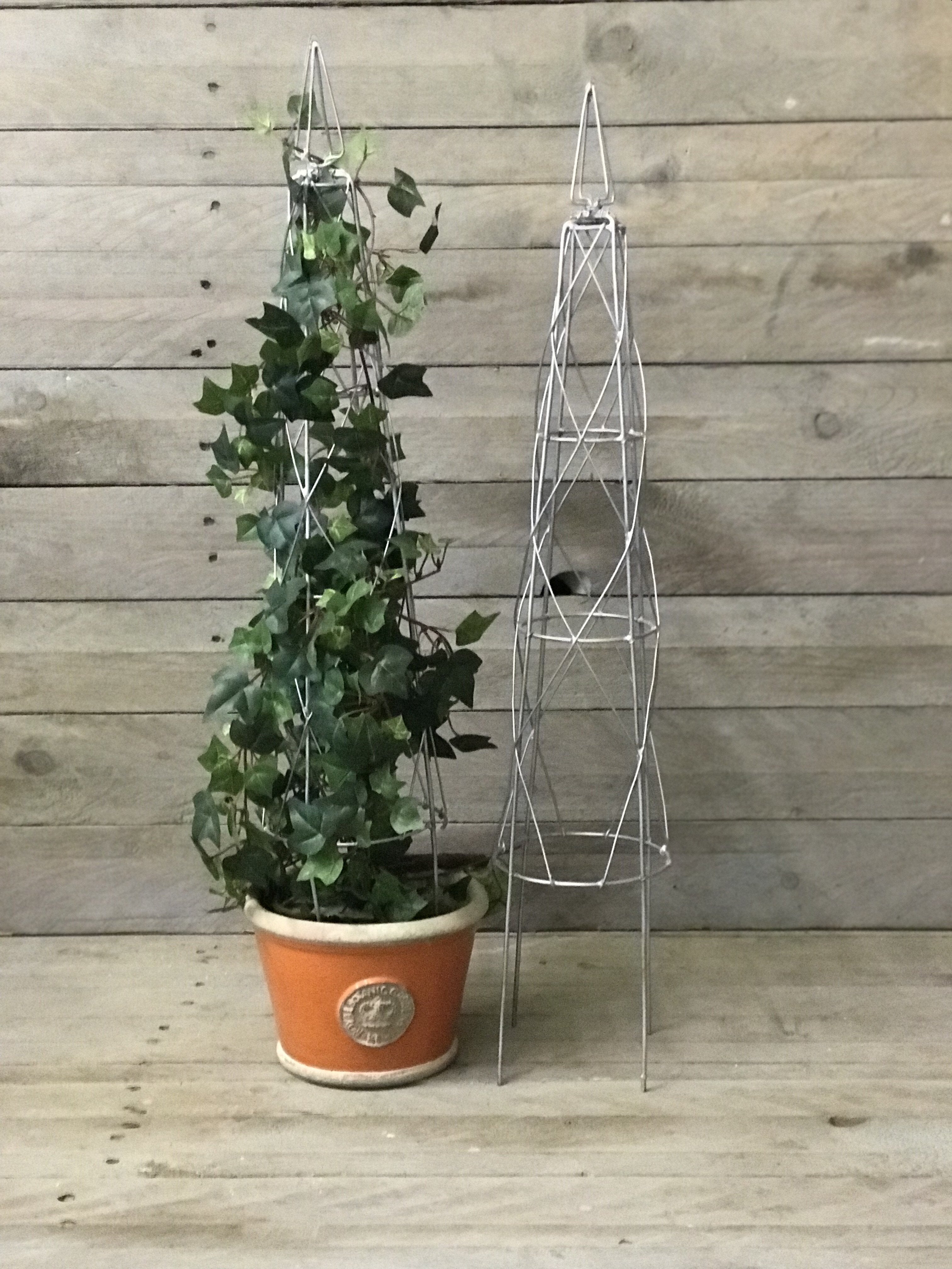 Wire Topiary Frame