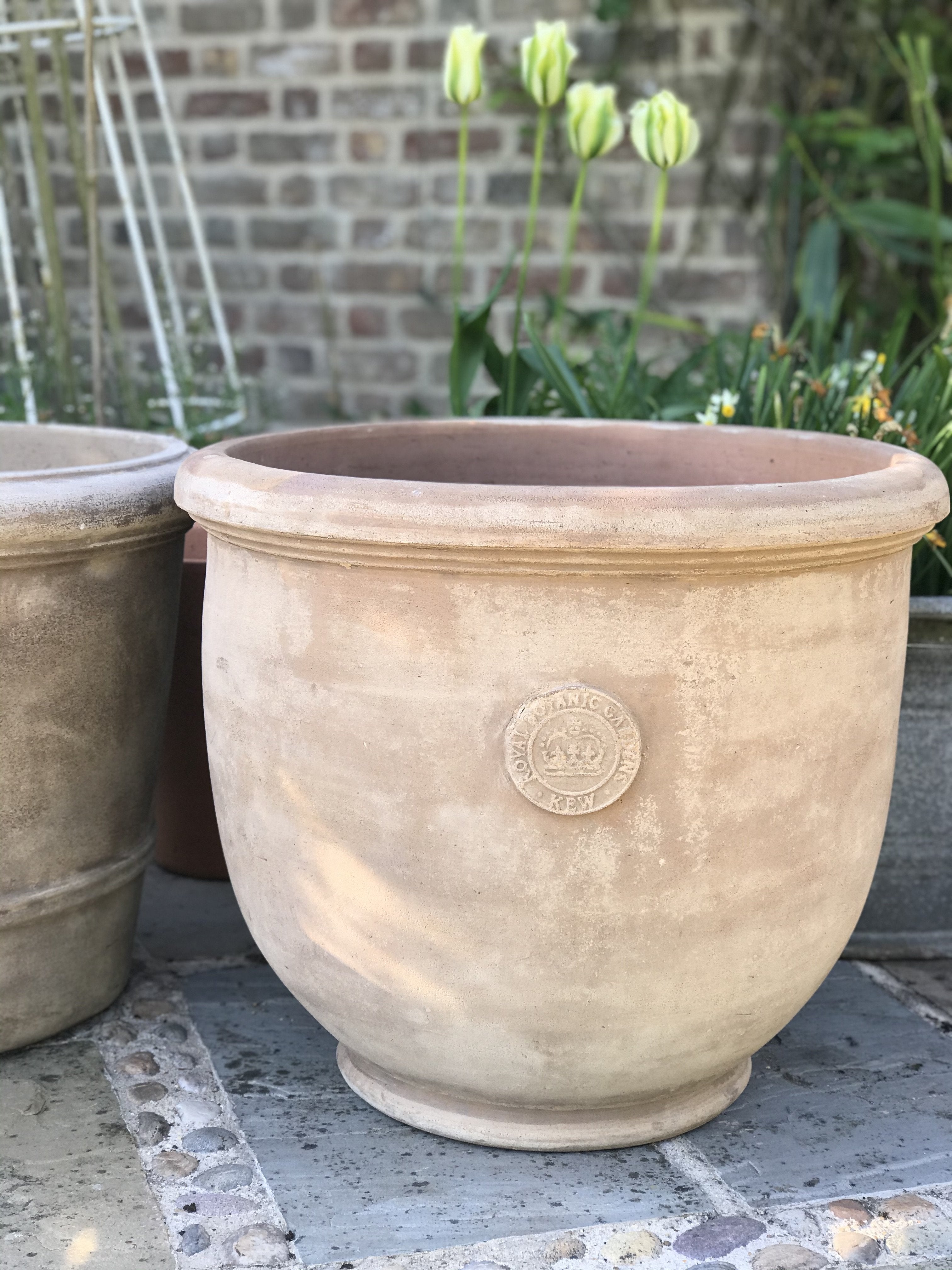 Temperate House Kew Frostproof Terracotta Planter -  Extra Large.