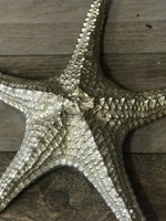Load image into Gallery viewer, Starfish
