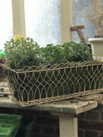 Load image into Gallery viewer, Rectangular Wire Basket Small
