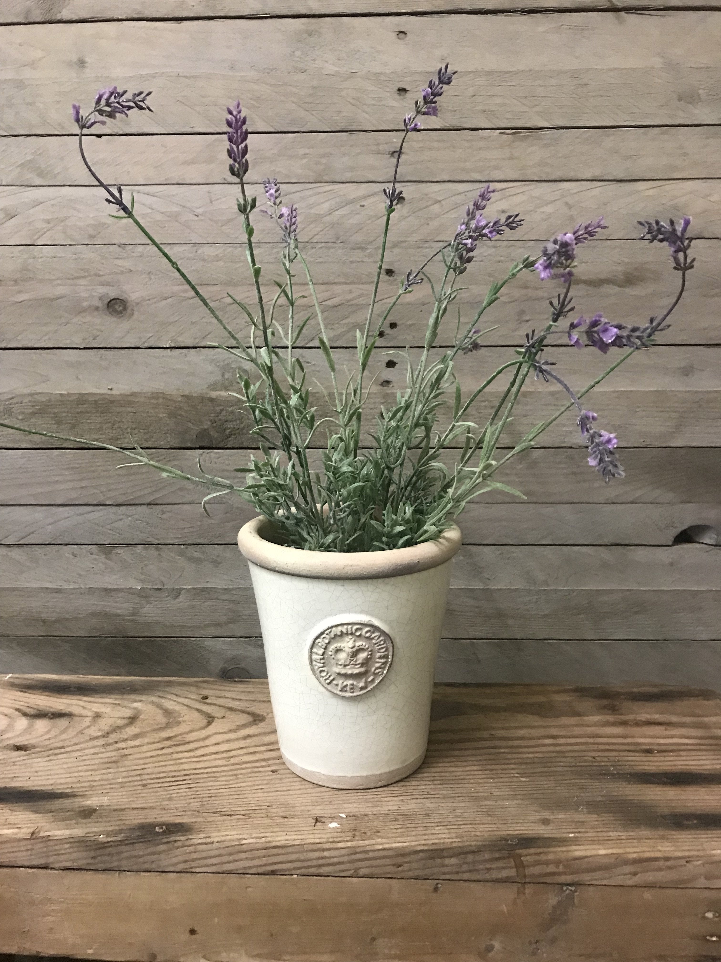 faux lavender