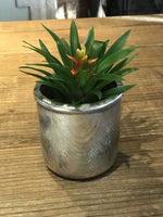 Load image into Gallery viewer, Glass Cylinder Pot in Antique Silver finish - large
